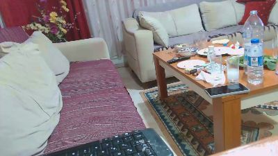 pollen_07 webcam model stream image