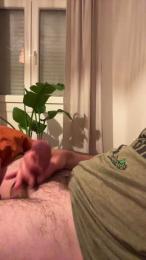 Basquedick90 webcam cam4 model stream image