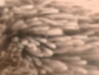 molly_and_paul webcam chaturbate model stream image