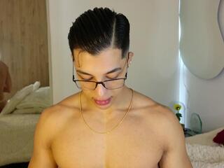 Troye Williams webcam model stream image