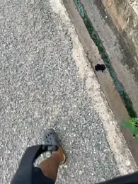 Black-mamba-madingo webcam model stream image