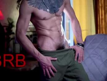 dl_raven webcam model stream image