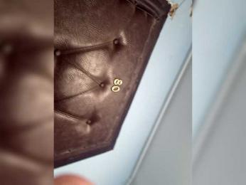 RoxySexy webcam model stream image