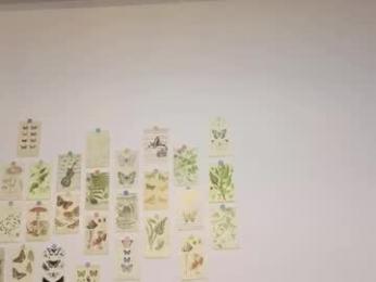 patri_ck_villa webcam model stream image