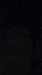 Agelessheat webcam model stream image