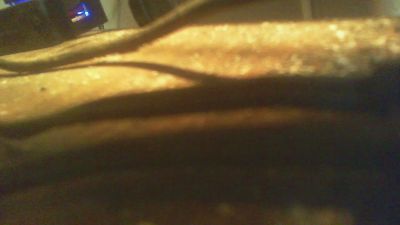 allblond1 webcam cam4 model stream image