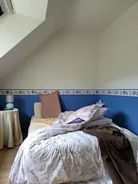 briochin webcam model stream image