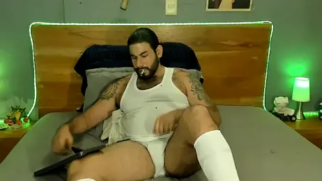 Prometeo-grizzly webcam model stream image