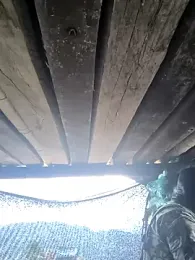 lamejorpene webcam model stream image