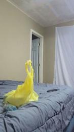 docpalmer webcam model stream image