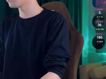 debugmee webcam model stream image