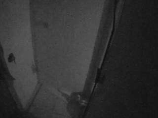 voyeurcam-casa-salsa-bathroom-7 webcam model stream image