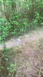 Joueurh webcam model stream image