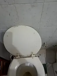 Danthepiero webcam model stream image