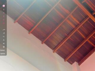 Tony Petrov webcam model stream image