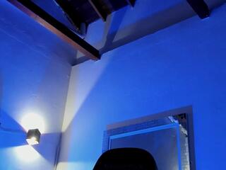 Tony Petrov webcam model stream image