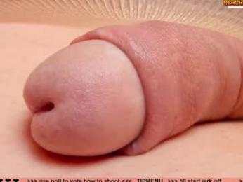 kpetra webcam model stream image