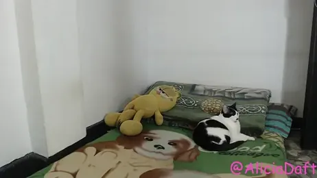 Smoke_trip_Alicia webcam stripchat model stream image