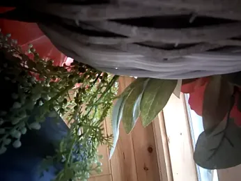 Lilsmokeshow017 webcam model stream image