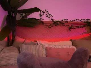 thelittlenative webcam model stream image