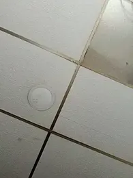 Niick01_ webcam model stream image