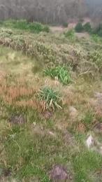 gutig_14 webcam model stream image
