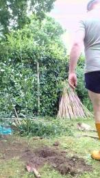 nakedworkbear2 webcam model stream image