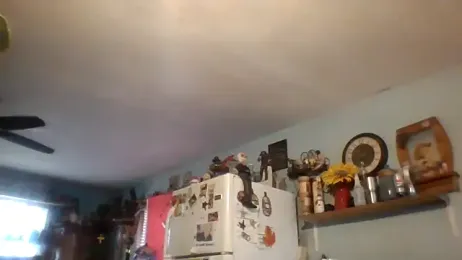 lilbishmiss webcam stripchat model stream image