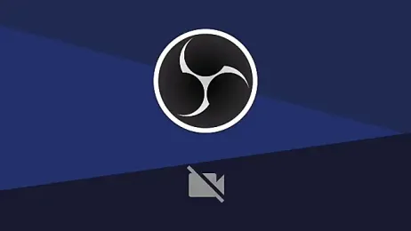 Nalavi webcam model stream image