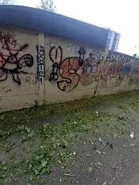 Crazy_TBM-BWC webcam model stream image