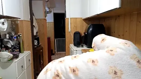 VanessaDoyle webcam model stream image