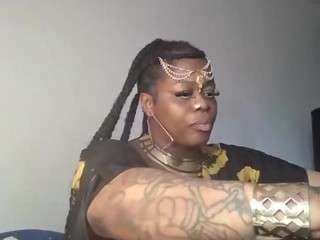 stalliontheesavage webcam model stream image