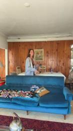 lumara_X webcam model stream image