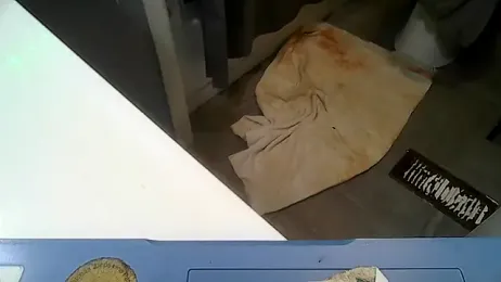 ShysluutGia webcam model stream image