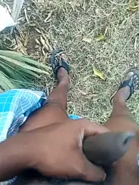 dolphiinn webcam model stream image