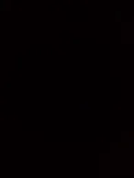 dolphiinn webcam model stream image