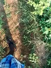 dolphiinn webcam model stream image