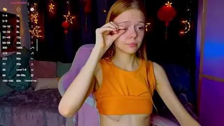 WeiSusi webcam model stream image