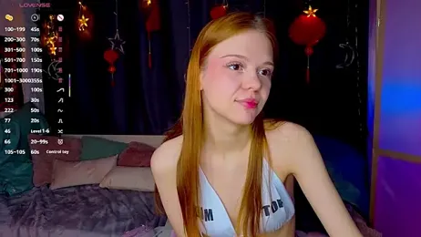 WeiSusi webcam model stream image