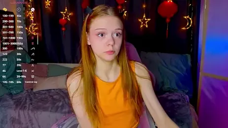 WeiSusi webcam model stream image