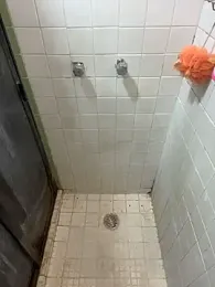 wolfbucker webcam model stream image