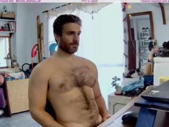 osito_blanco webcam model stream image