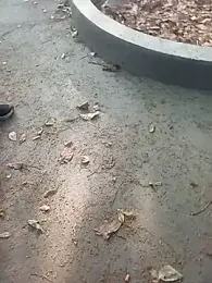 andresj22hot webcam model stream image