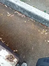 andresj22hot webcam model stream image