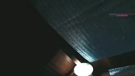 SilvaBranko webcam model stream image