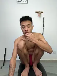 XiaoLin-01 webcam model stream image