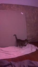 TopTierDrippa webcam model stream image