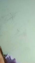 chicassafico2 webcam model stream image