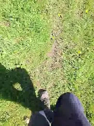 FreezingTie850 webcam stripchat model stream image