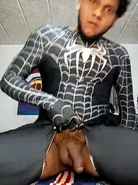 prototipoA45 webcam model stream image